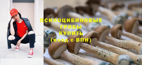прущий лед Нефтегорск
