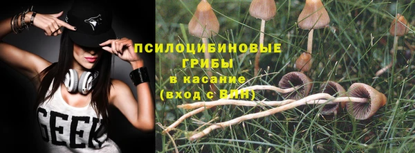 тгк Нефтекумск