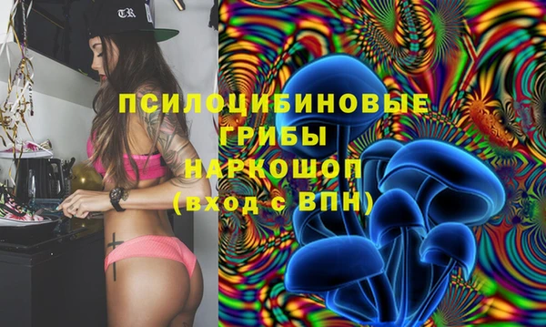 гидропоника Новозыбков