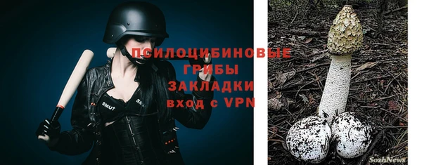 таблы Нея