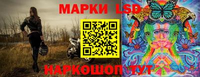 гидропоника Гусев