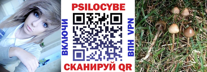 Псилоцибиновые грибы прущие грибы  Кировск 