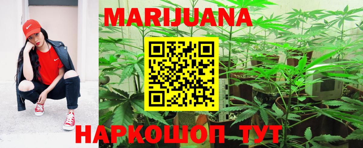 Бошки марихуана White Widow Кировск